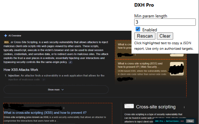 DOM XSS Highlighter